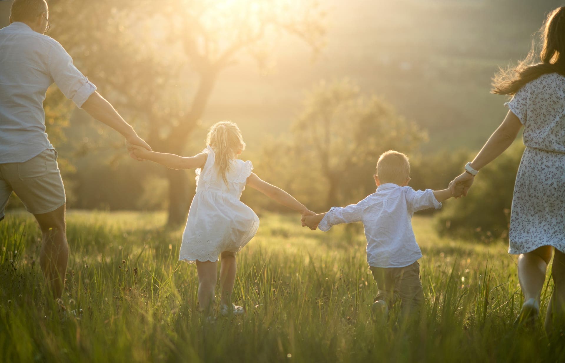 Famille de quatre personnes se tenant par la main dans un pré, en fin de journée